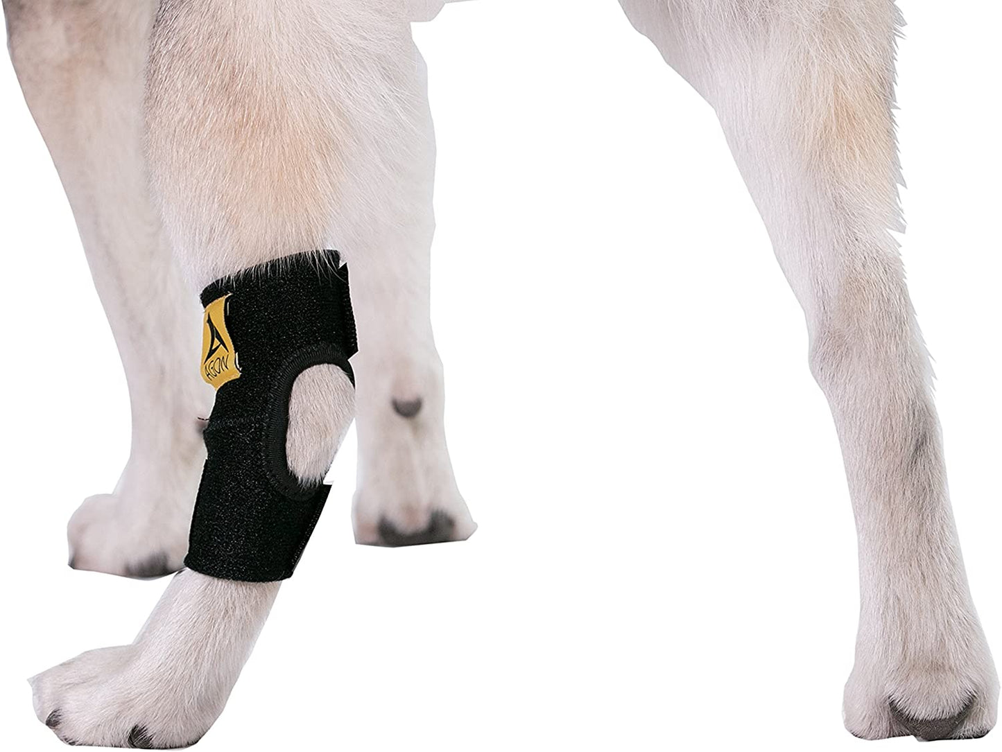 AGON Dog Canine Rear Hock Joint Brace Compression Wrap with Straps Dog for Back Leg Protects Wounds. Heals Prevents Injuries and Sprains Helps with Loss of Stability Caused by Arthritis - (For 8 piece(s))
