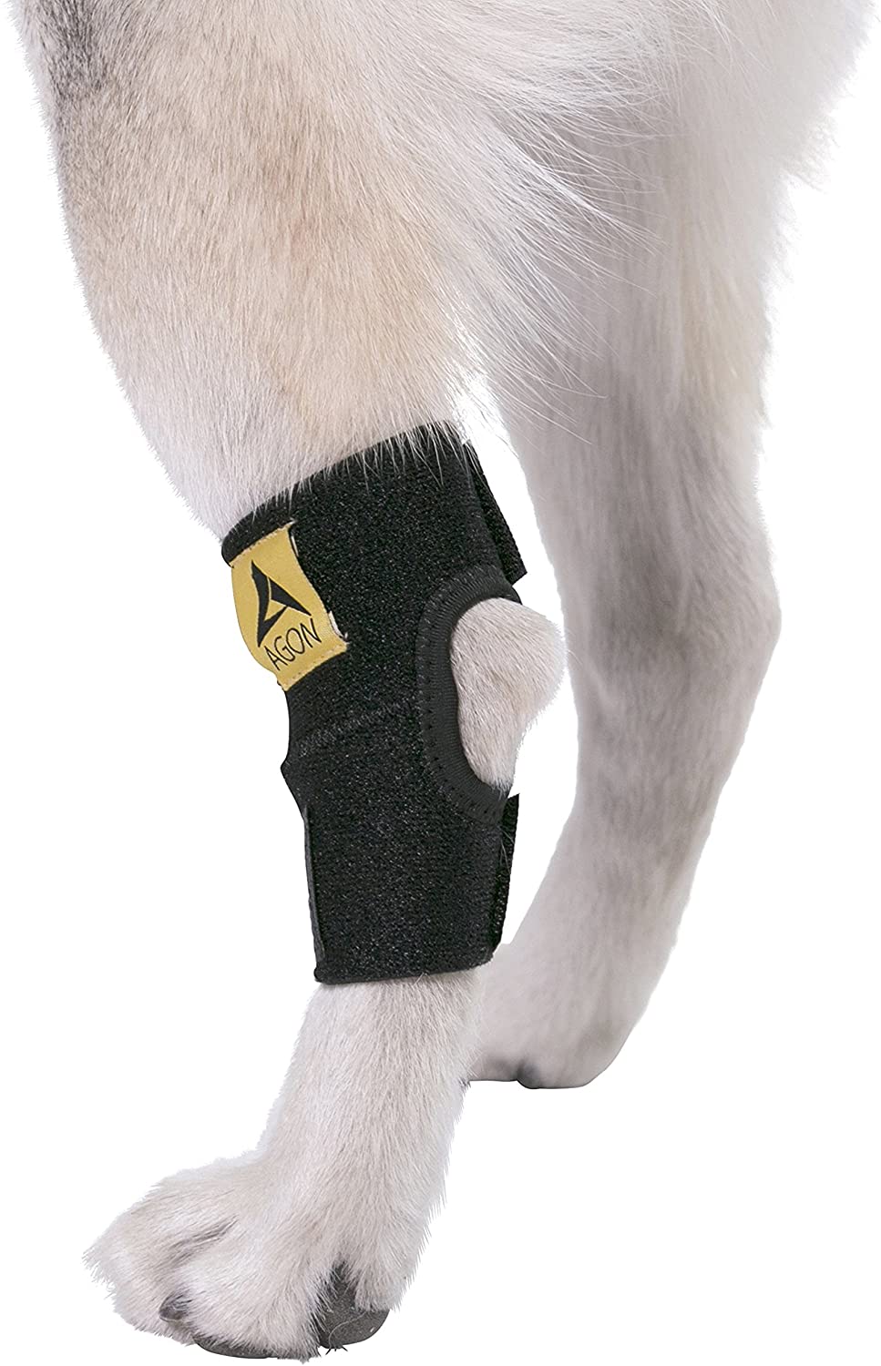 AGON Dog Canine Rear Hock Joint Brace Compression Wrap with Straps Dog for Back Leg Protects Wounds. Heals Prevents Injuries and Sprains Helps with Loss of Stability Caused by Arthritis - (For 8 piece(s))