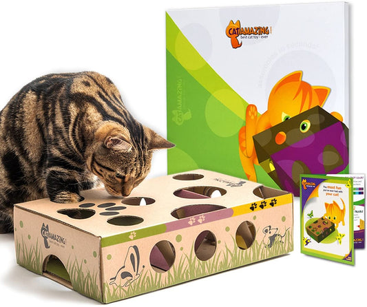 Cat Amazing – Best Cat Toy Ever! Interactive Treat Maze & Puzzle Feeder for Cats - (For 8 piece(s))