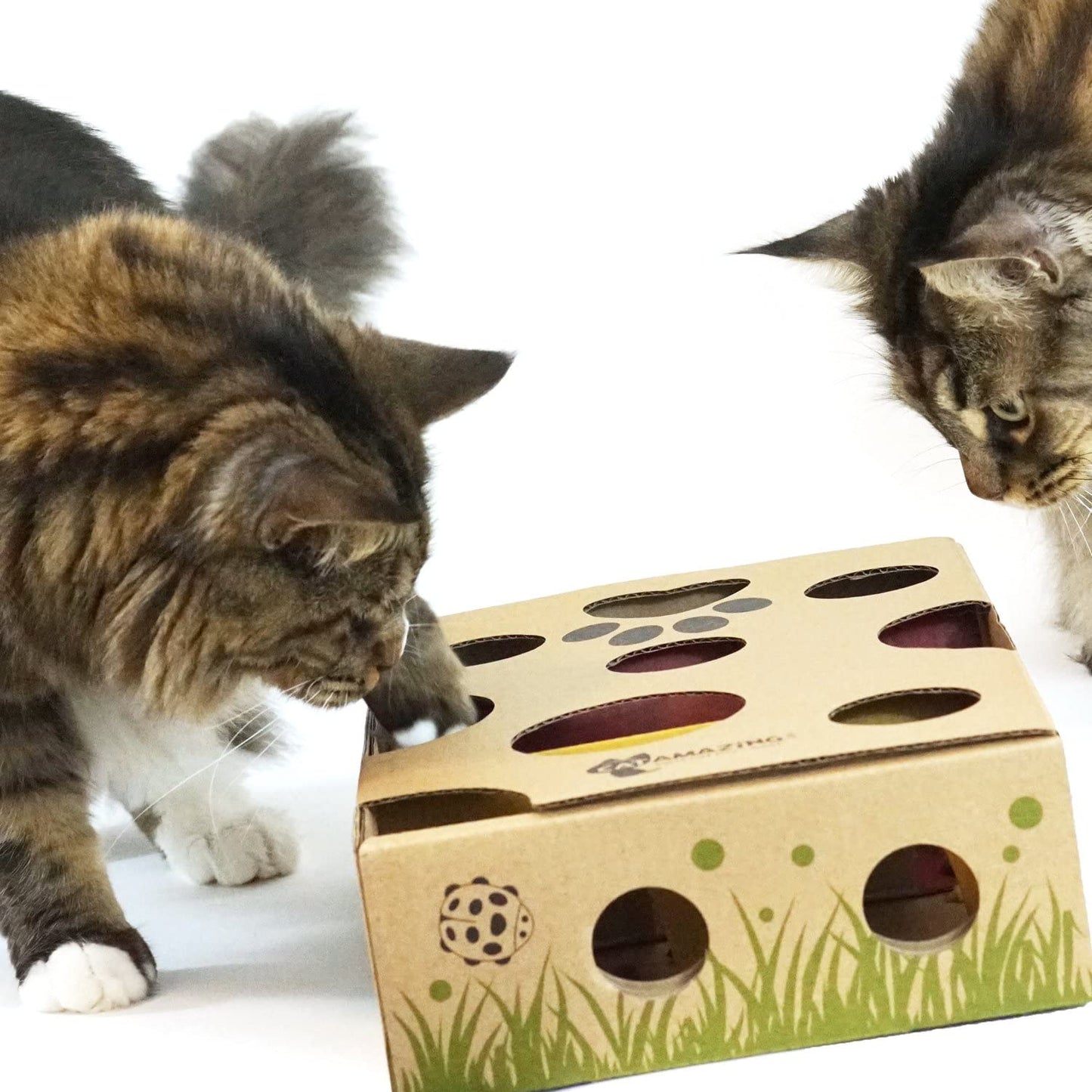 Cat Amazing – Best Cat Toy Ever! Interactive Treat Maze & Puzzle Feeder for Cats - (For 8 piece(s))