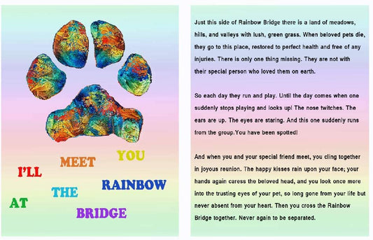 COZYMATE Rainbow Bridge Pet Memorial Gift Lava Bead Bracelet in Memory of Dogs Cats - (For 8 piece(s))