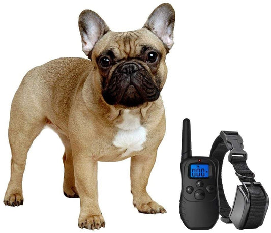 eXuby Shock Collar for Small Dogs with Remote - Includes 2 Collars - Small & Medium and Training Clicker – 3 Modes (Sound, Vibration & Shock) with Rechargeable Batteries - (For 6 piece(s))