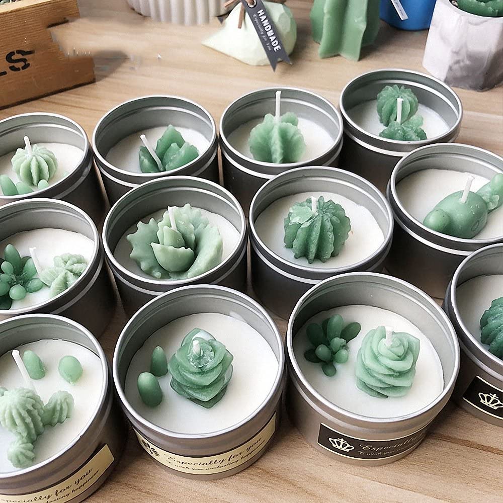MoldFun 5-Pack Cactus and Succulent Plants Silicone Mold for Fondant Chocolate Candy Cake Decorating Candle Soap Lotion Bar Wax Crayon Melt Plaster Polymer Clay - (For 8 piece(s))