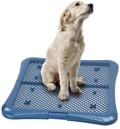Petphabet Training Pad Holder Floor Protection Dog Pad Holder Mesh Training Tray - (For 6 piece(s))